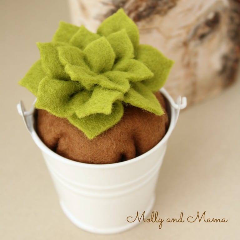 Make a Potted Succulent with the Coco Flower Crown Pattern