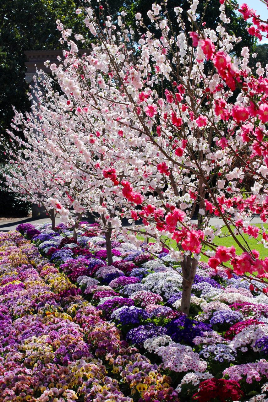 Spring Time Inspiration